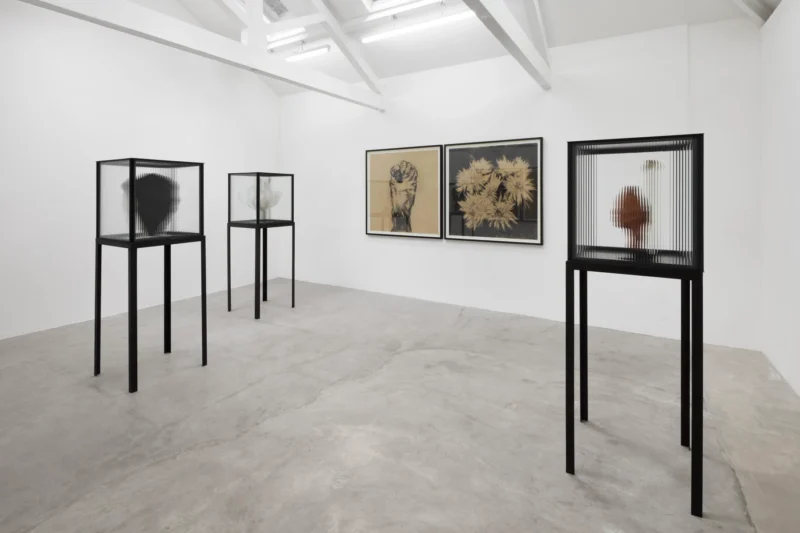 Installation shot from Guy Haddon Grant: Fata Morgana, @ NISO