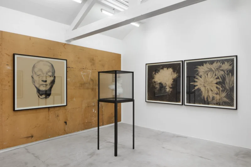 Installation shot from Guy Haddon Grant: Fata Morgana, @ NISO