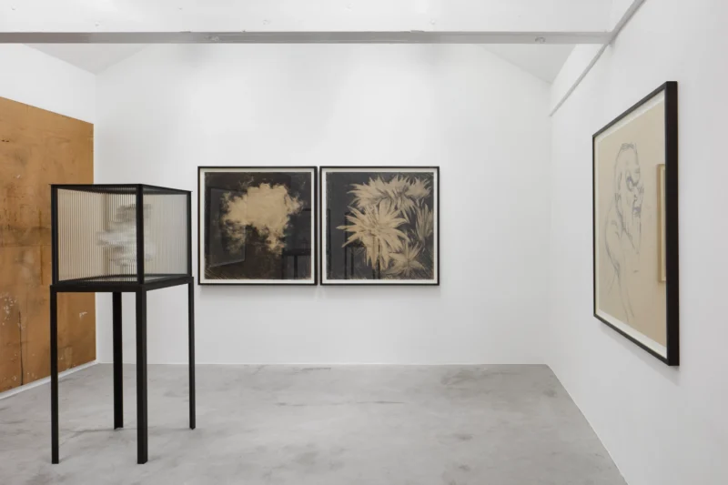 Installation shot from Guy Haddon Grant: Fata Morgana, @ NISO