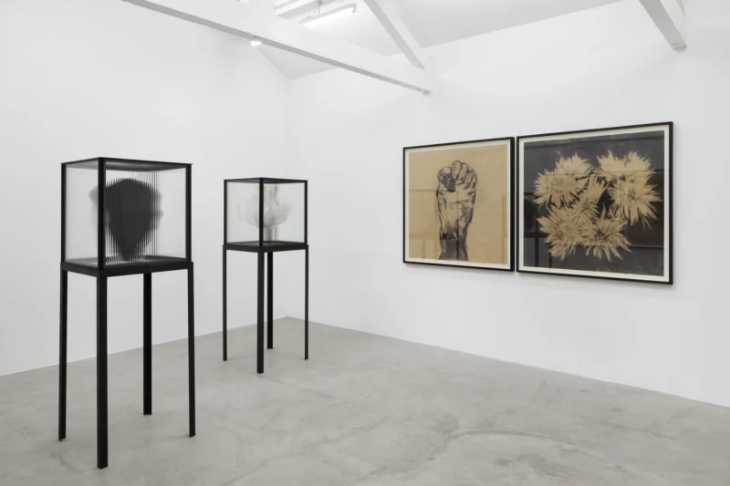 Installation shot from Guy Haddon Grant: Fata Morgana, @ NISO