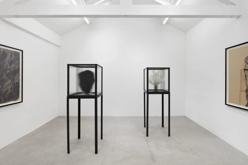 Installation shot from Guy Haddon Grant: Fata Morgana, @ NISO