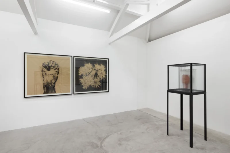 Installation shot from Guy Haddon Grant: Fata Morgana, @ NISO