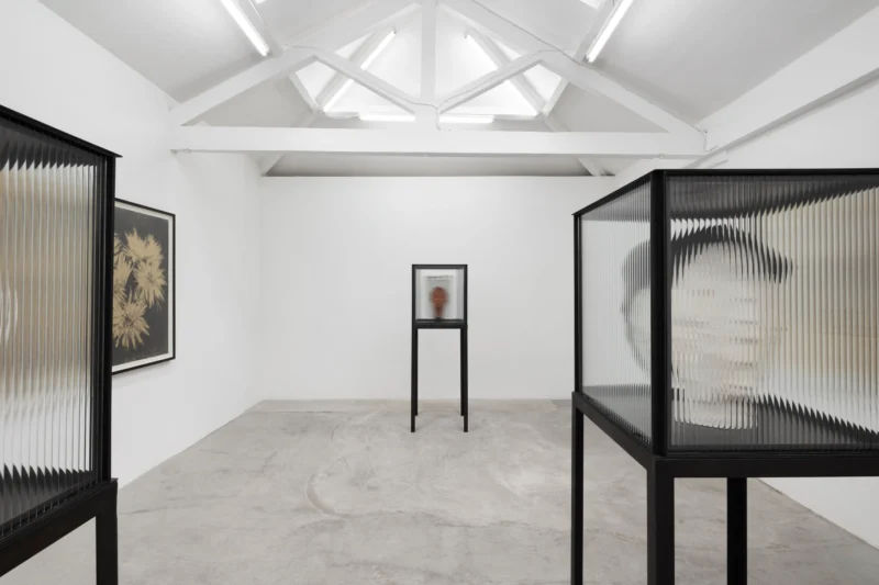 Installation shot from Guy Haddon Grant: Fata Morgana, @ NISO