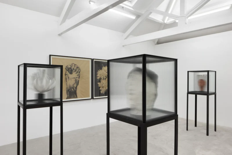 Installation shot from Guy Haddon Grant: Fata Morgana, @ NISO
