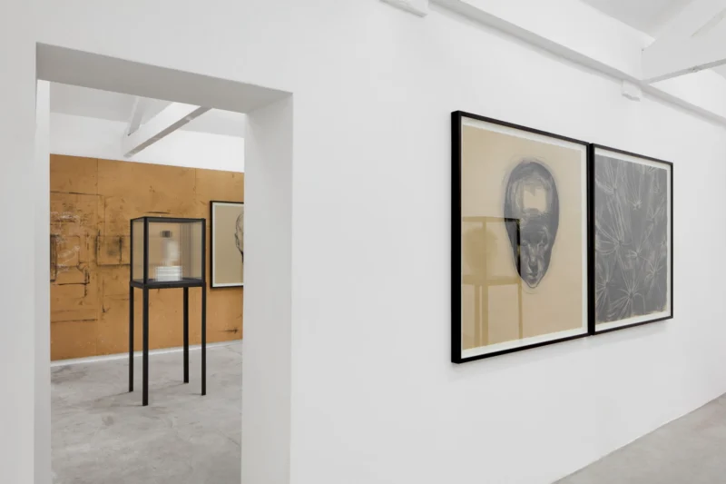 Installation shot from Guy Haddon Grant: Fata Morgana, @ NISO