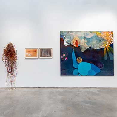 Image from Amelia Toledo and Cristina Canale: On the Nature of Figures, at Nara Roesler