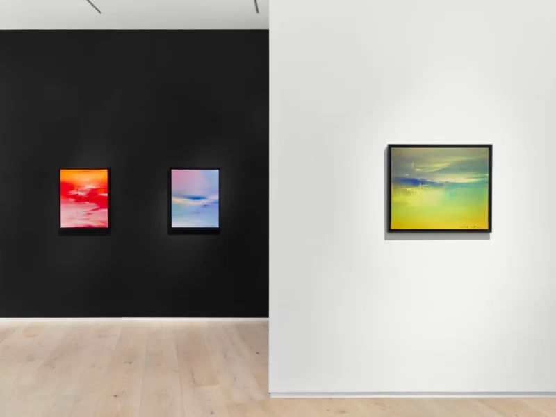 Installation shot from Pieter Obels | Feng Xiao-Min, @ Opera Gallery