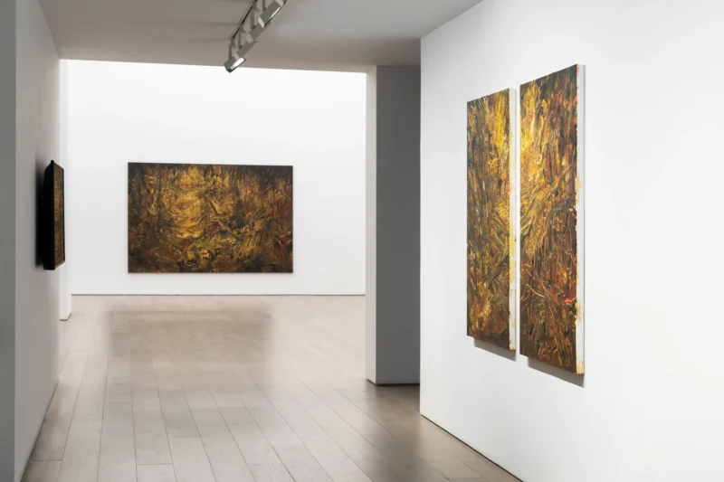 Installation shot from Hugo Toro: Ojo de Agua, @ Perrotin