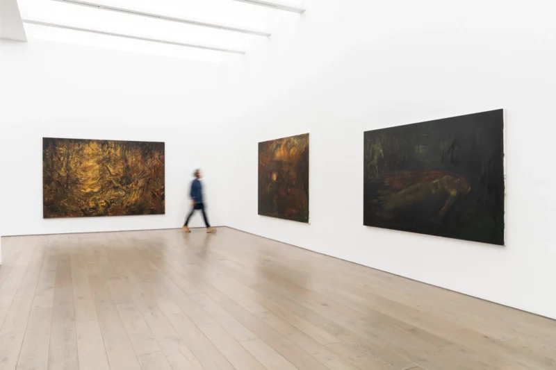 Installation shot from Hugo Toro: Ojo de Agua, @ Perrotin