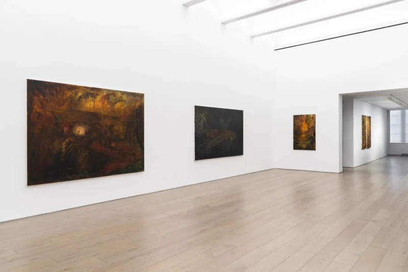 Installation shot from Hugo Toro: Ojo de Agua, @ Perrotin