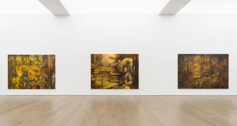 Installation shot from Hugo Toro: Ojo de Agua, @ Perrotin