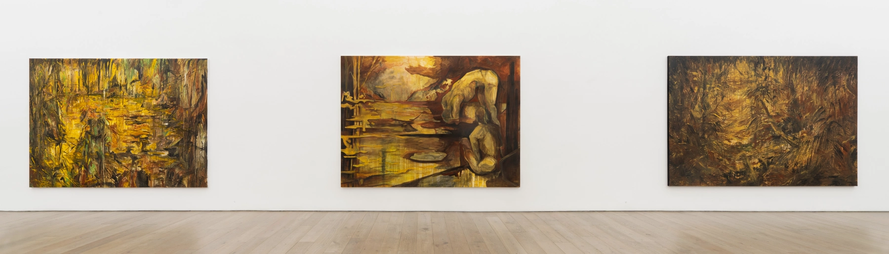 Image for Hugo Toro: Ojo de Agua at Perrotin New York