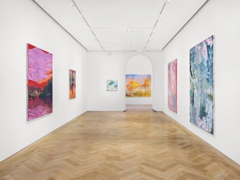 Installation shot from Soft Spot, @ Pilar Corrias