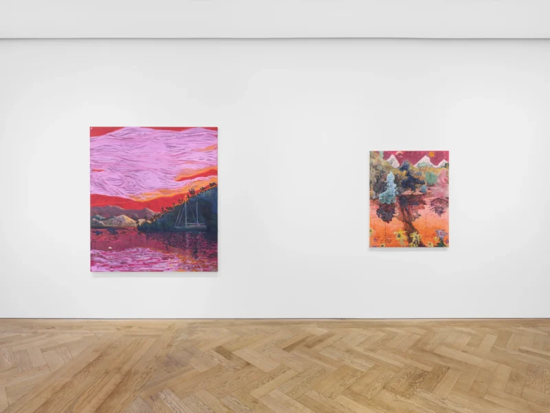 Installation shot from Soft Spot, @ Pilar Corrias