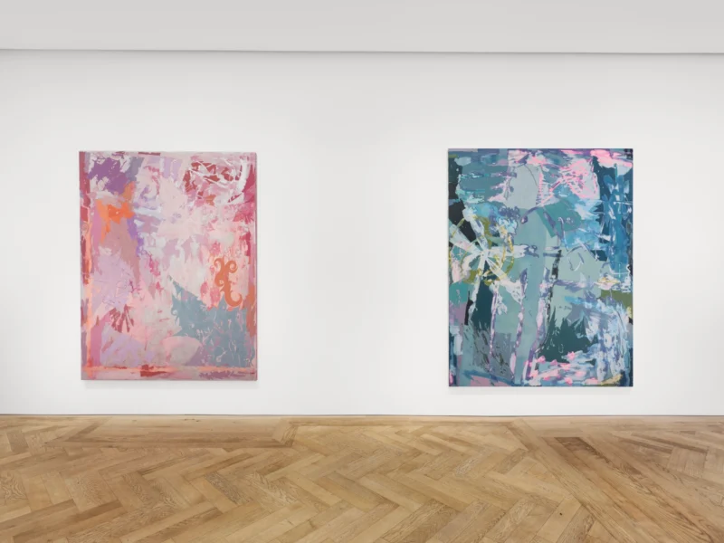 Installation shot from Soft Spot, @ Pilar Corrias