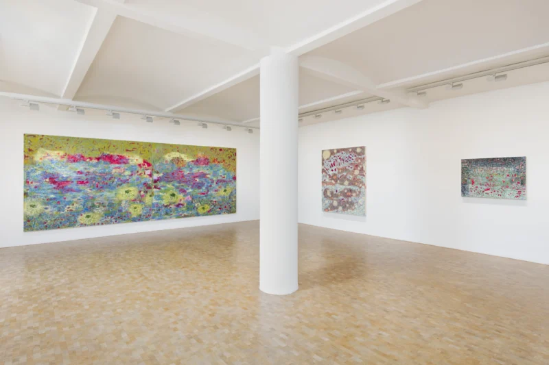 Installation shot from Sophia Loeb: O Manifesto da Luz antes do Amanhecer (The Manifesto of Light Before Dawn), @ Pippy Houldsworth Gallery