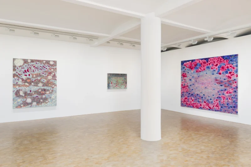 Installation shot from Sophia Loeb: O Manifesto da Luz antes do Amanhecer (The Manifesto of Light Before Dawn), @ Pippy Houldsworth Gallery