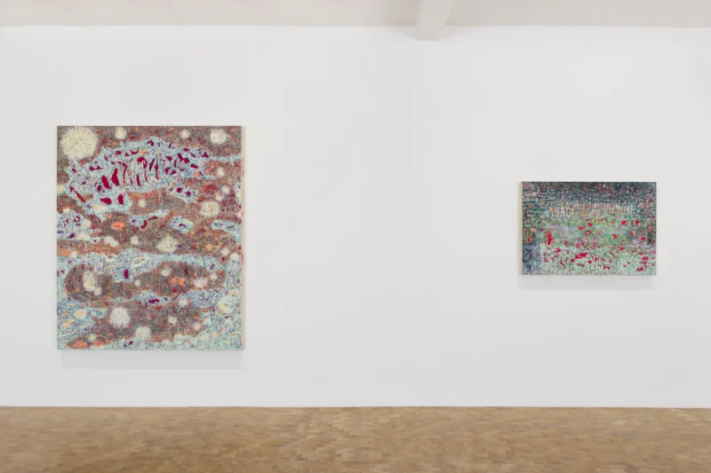 Installation shot from Sophia Loeb: O Manifesto da Luz antes do Amanhecer (The Manifesto of Light Before Dawn), @ Pippy Houldsworth Gallery
