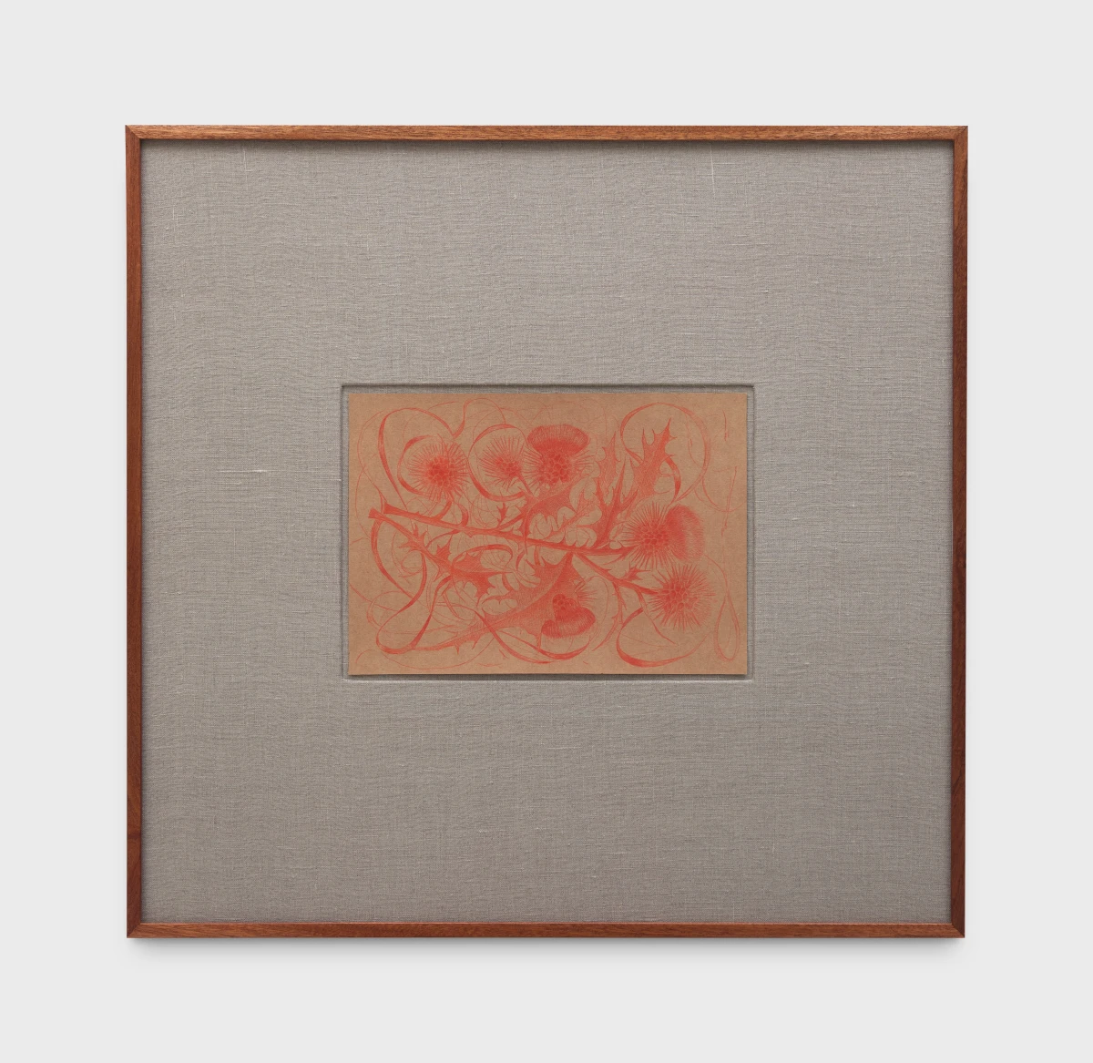 Rafał Topolewski, Untitled (thistle II), 2026
