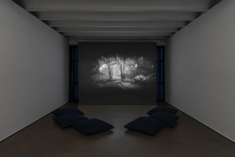 Installation shot from Sergen Şehitoğlu: Forking Paths, @ SANATORIUM
