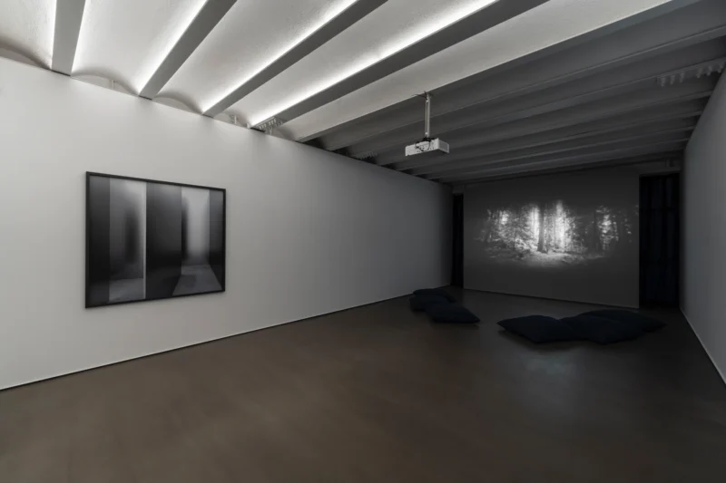 Installation shot from Sergen Şehitoğlu: Forking Paths, @ SANATORIUM