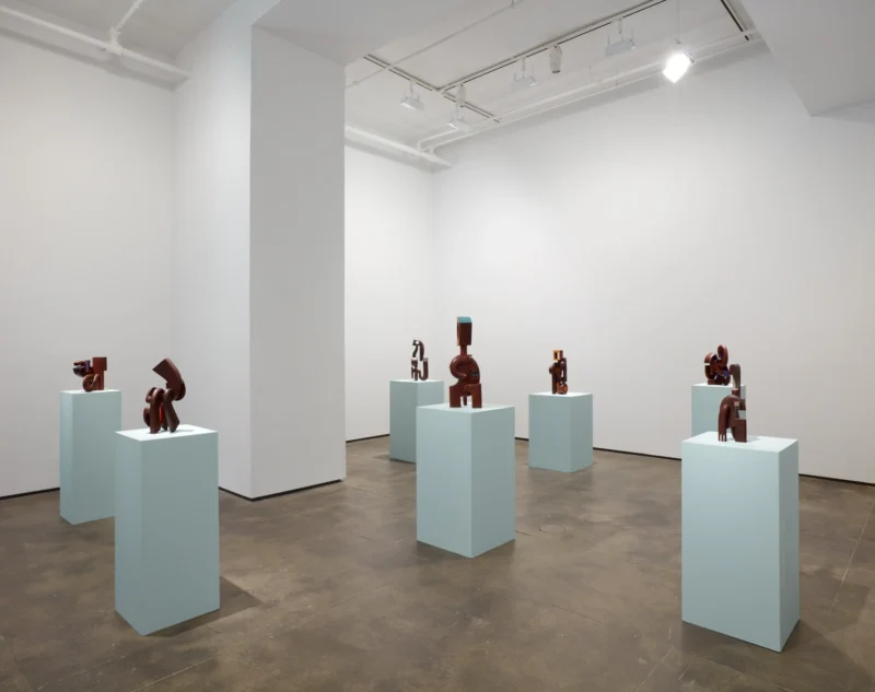 Installation shot from Magdiel García Almanza: Acana, @ Sean Kelly Gallery