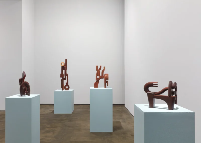 Installation shot from Magdiel García Almanza: Acana, @ Sean Kelly Gallery