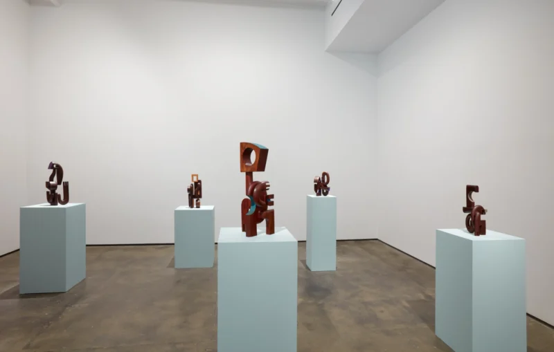 Installation shot from Magdiel García Almanza: Acana, @ Sean Kelly Gallery