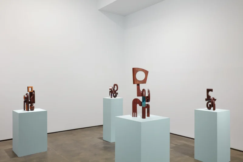 Installation shot from Magdiel García Almanza: Acana, @ Sean Kelly Gallery
