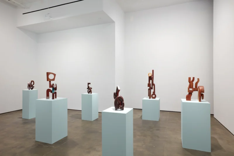 Installation shot from Magdiel García Almanza: Acana, @ Sean Kelly Gallery