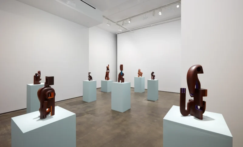 Installation shot from Magdiel García Almanza: Acana, @ Sean Kelly Gallery