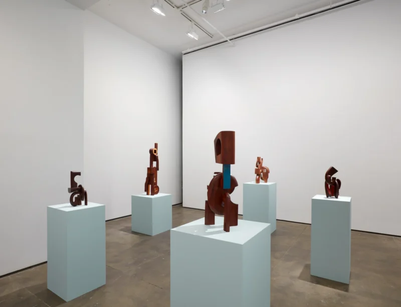 Installation shot from Magdiel García Almanza: Acana, @ Sean Kelly Gallery