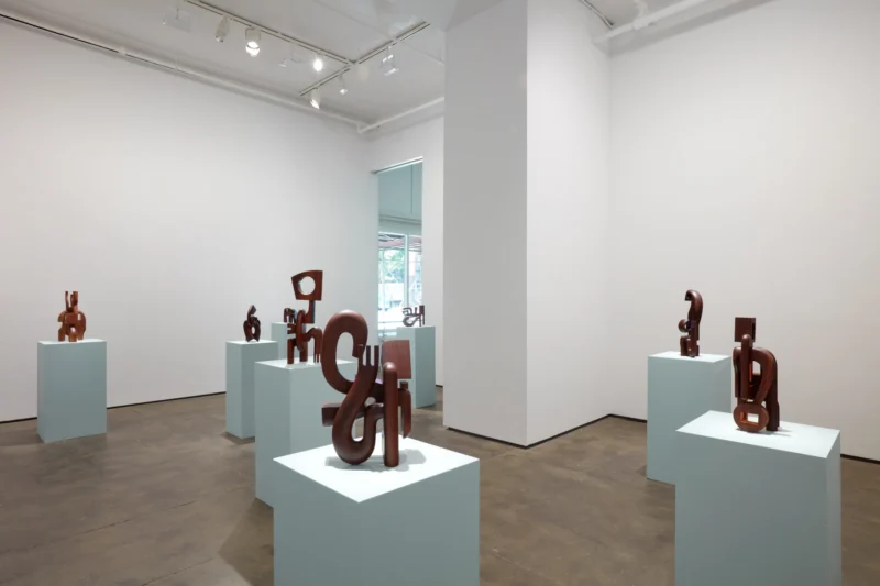 Installation shot from Magdiel García Almanza: Acana, @ Sean Kelly Gallery