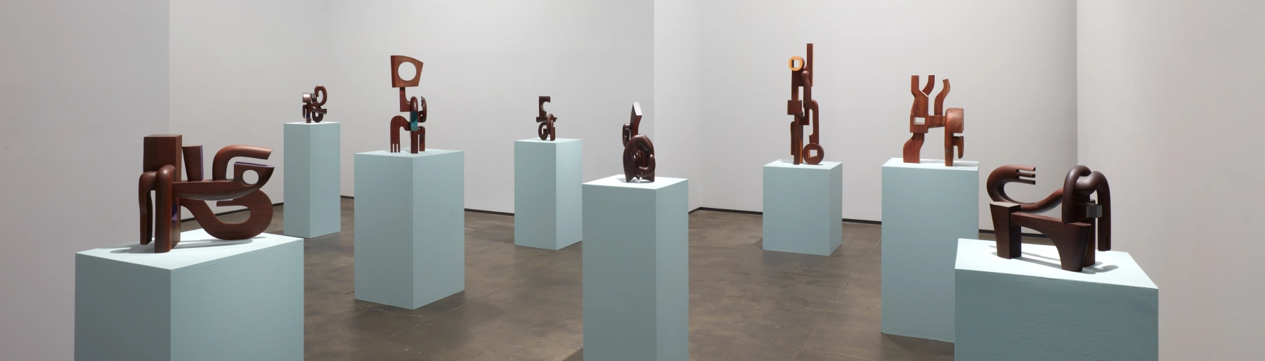 Image for Magdiel García Almanza: Acana at Sean Kelly Gallery