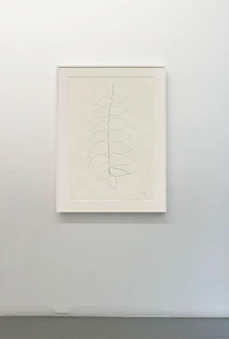 Installation shot from ROLLING STONES: MAKING LITHOGRAPHS, @ Susan Sheehan Gallery