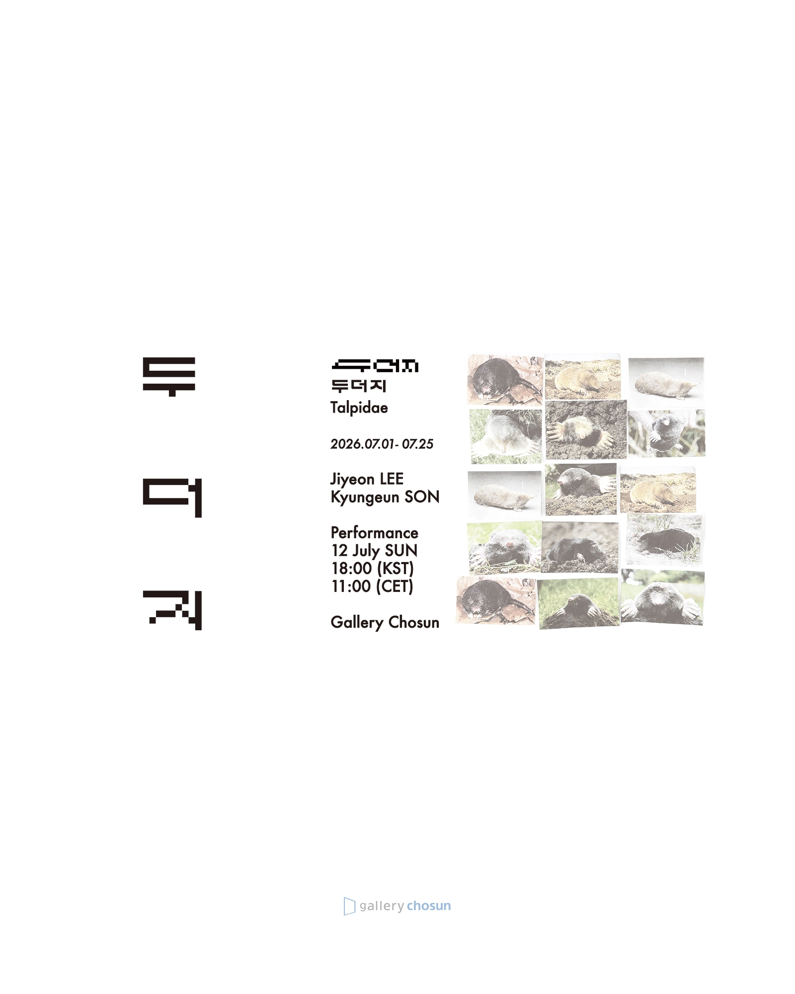 Image for Talpidae, at Gallery Chosun
