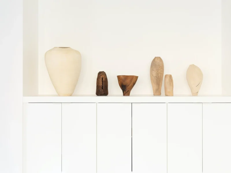 Installation shot from Physis: Ernst Gamperl & Shunshun, @ Taste Contemporary