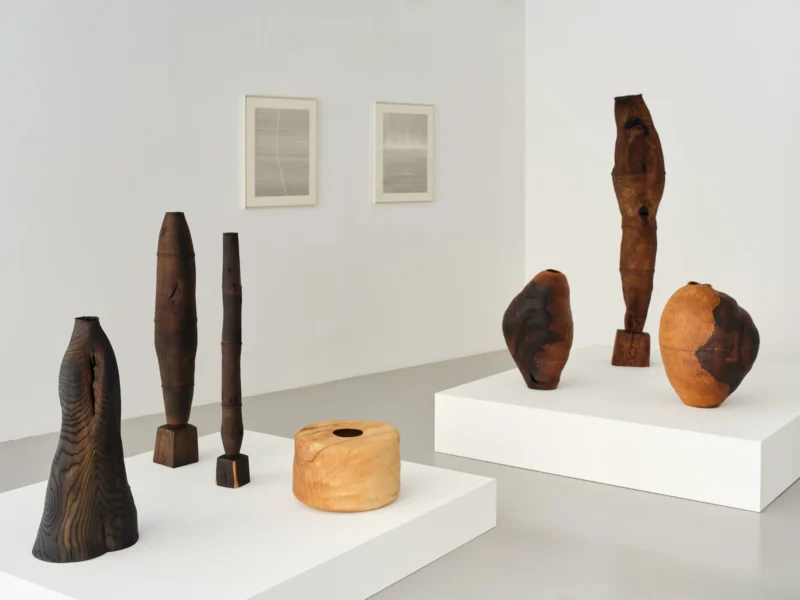 Installation shot from Physis: Ernst Gamperl & Shunshun, @ Taste Contemporary