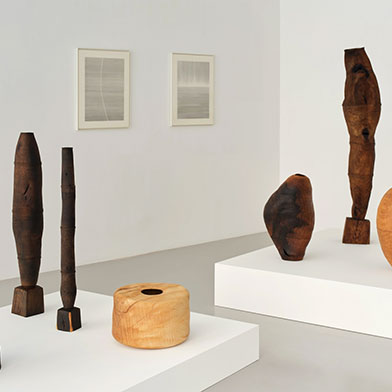 Image from Physis: Ernst Gamperl & Shunshun, at Taste Contemporary
