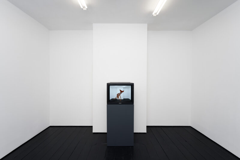 Installation shot from Ted Le Swer: Comrades, Sleep Faster!, @ Soup Gallery