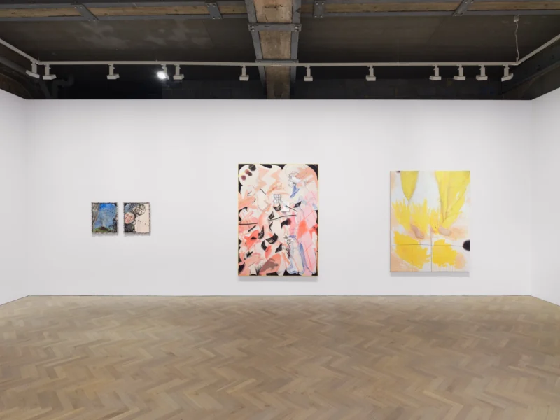 Installation shot from Caragh Thuring, @ Thomas Dane Gallery