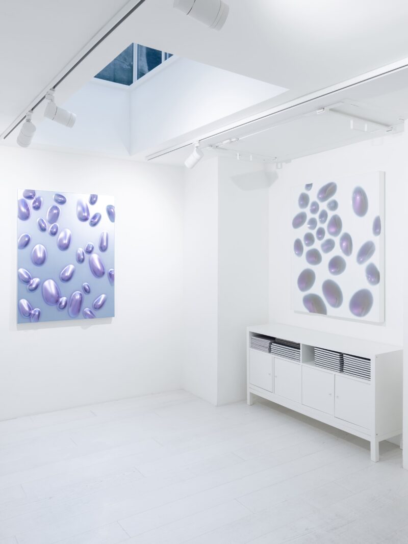 Installation shot from Willi Siber: Dimension V - Baroque Nature, @ Bluerider ART