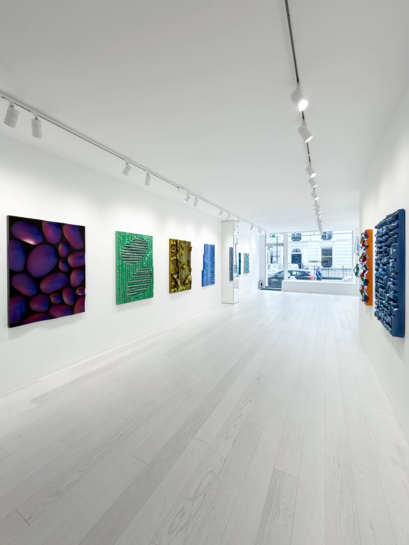 Installation shot from Willi Siber: Dimension V - Baroque Nature, @ Bluerider ART