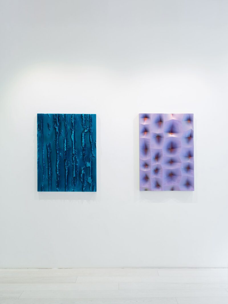 Installation shot from Willi Siber: Dimension V - Baroque Nature, @ Bluerider ART