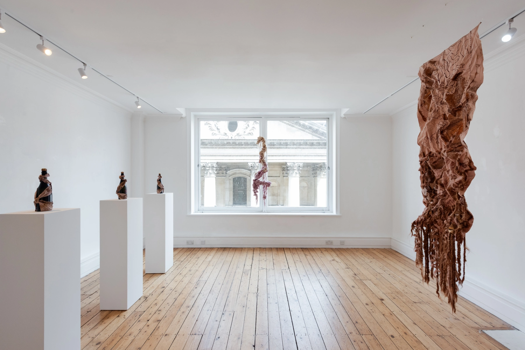 Image for Camila Barvo: Entanglement, at Wyn at General Assembly