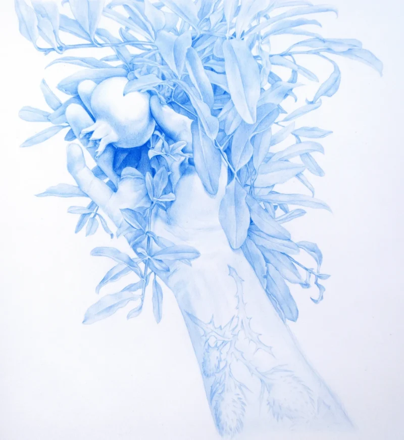 Zachari Logan, Pomegranate, Veneto 2017, 2021