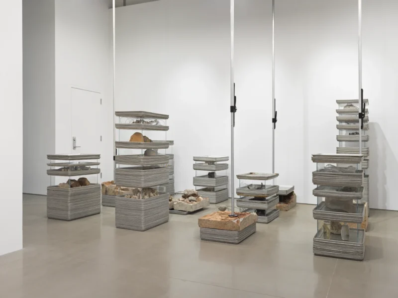 Michael Joo, Concatenations, 1991 / 2026