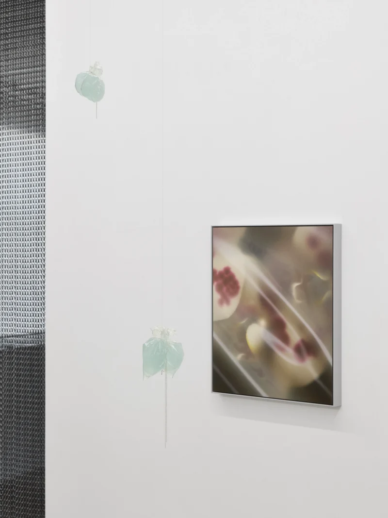 Installation shot from Re-wetting the void, @ ai.