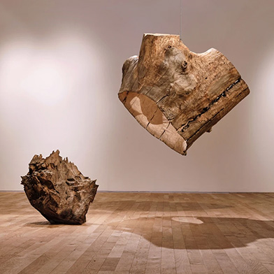 Exhibition image from the latest newsletter