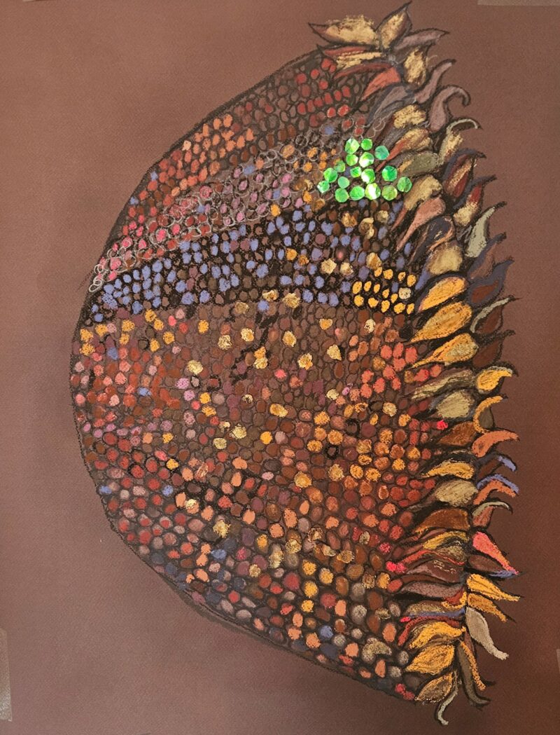 Amanda Holiday, Flower Head (after Ulisse Aldrovandi), 2025